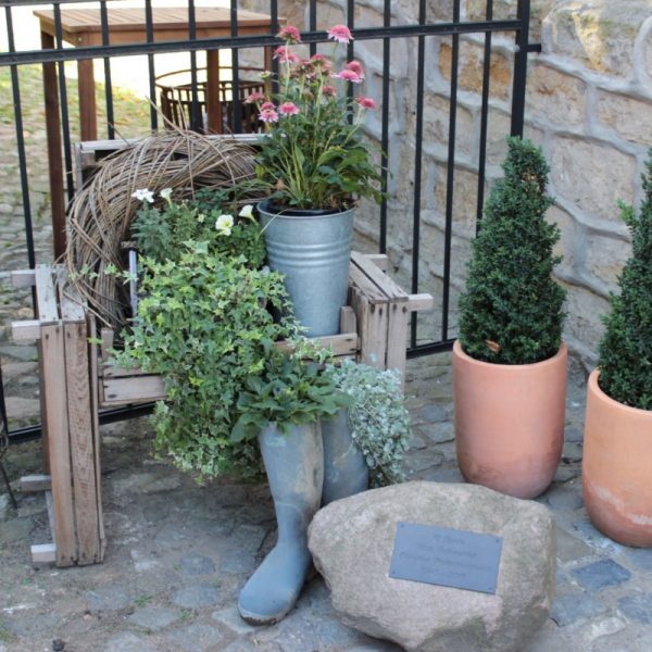 Eillkommen in der Gutspension